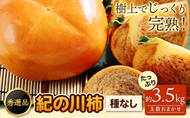 希少紀の川柿約3.5kg（種無し）【2026年先行予約】秀選品(玉数おまかせ)厳選館《2026年11月上旬-11月中旬頃出荷》柿カキジューシーフルーツ---wsh_gsk167_11j11c_25_1