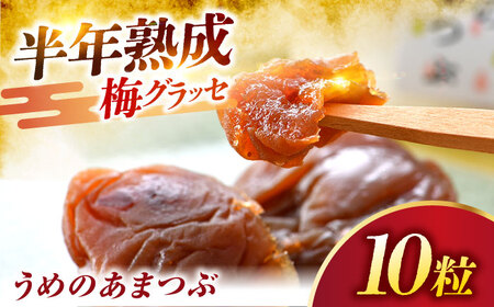 福井県産 梅グラッセ うめのあまつぶ 10粒入 / 紅映梅使用 上品な甘酸っぱさ 梅 ウメ 小浜市 / アップ・トゥ・ユウ[BFAU007]