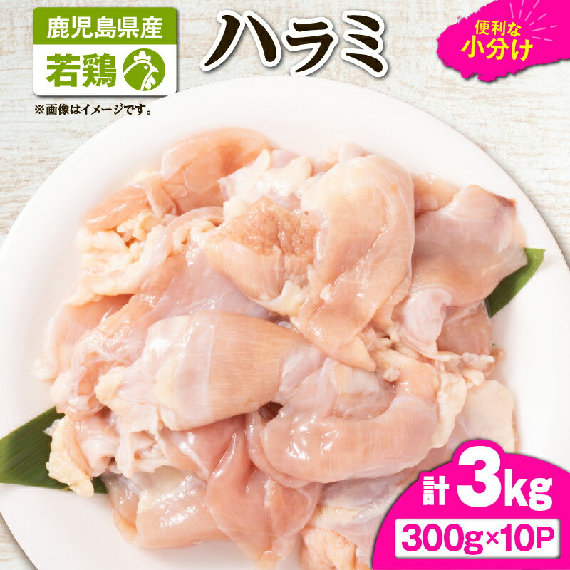 【ふるさと納税】 鹿児島県産 若鶏 ハラミ 3kg セット 鶏肉 鶏 とり 肉 お肉 冷凍 鹿児島県産 ハラミ 小分け ストック カット済み 時短 炭火焼 焼肉 便利 真空パック 新鮮 TRINITY ふるさと納税 鹿児島 鹿屋市 おすすめ ランキング プレゼント ギフト