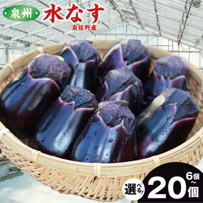 【ふるさと納税】先行予約 ナス ハウス 水なす 選べる 内容量 6個 / 12個 / 20個 夏旬の水なすを冬にどうぞ 泉州水なす 皮が薄く 水分が多い あく えぐみが少ない 生のサラダで美味しく食べられる ぬか漬けにも 大阪府 泉佐野産 野菜 冷蔵配送 送料無料