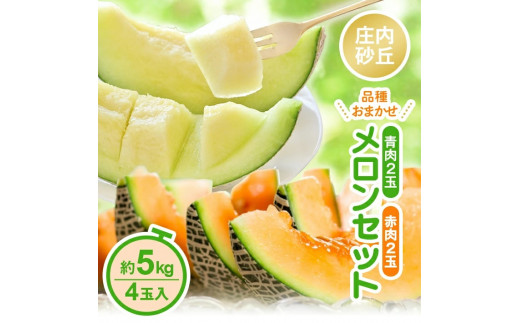 庄内砂丘 『青肉・赤肉メロン』セット　約5kg 計4玉(各2玉入) 品種おまかせ SA2932