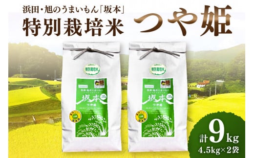 【令和6年産】浜田・旭のうまいもん「坂本」特別栽培米つや姫　4.5kg×2袋 【1031】