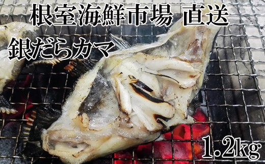 G-28008  根室海鮮市場＜直送＞銀だらカマ1.2kg