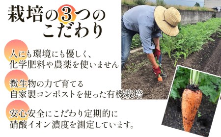 自家製無農薬栽培にんじん100％使用「人参ジュース　ザ・人参」720ml×2本