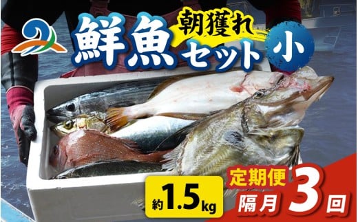 【定期便　隔月３回】【朝獲り】漁師厳選 鮮魚セット (小) 3種類以上 約1.5kg 魚 詰め合わせ  鮮魚ボックス  直送  鮮魚 新鮮 煮物 焼き物 お造り 刺身 晩酌 頒布会 BBQ 急速冷凍 真空パック 鮮魚セット 詰合せ 鮮魚店 厳選 お任せ 鮮度 産直 海鮮 加熱用 福井県 南越前町 越前 盛り合わせ おまかせ お楽しみ おつまみ おかず 送料無料  さへい 河野 越前 北陸