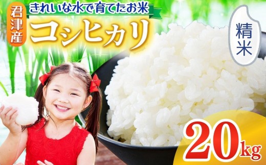 精米 令和7年産 コシヒカリ 20kg 精米 きれいな水で育てたお米 2週間以内に発送 | 保坂農場 名水 おいしい水 ちばエコ農産物 おにぎり お弁当 君津市産 イチオシ 千葉 君津市 きみつ 房総
