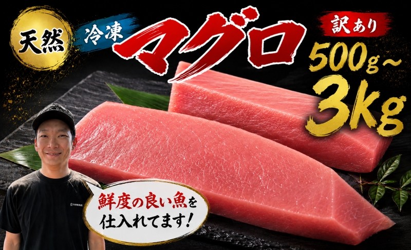 
                  訳あり マグロ 天然 まぐろ 500g ～ 3kg マグロ刺身 マグロ たたき マグロ丼 鮪 マグロ漬け丼の具 冷凍 鮪 ネギトロ丼 マグロ まぐろ ブロック 赤身 天然 スライス刺し身 さしみ 魚介 海鮮 海鮮丼 おかず 惣菜 訳あり 冷凍 規格外 お取り寄せ 冷凍 高知県 安芸市 おいしい 簡単 時短 海の幸 生鮮
                