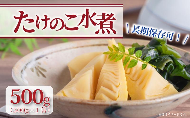 
                  【京都山城産】 たけのこ水煮缶詰 500g(1缶) お試し 白子筍 京たけのこ 国産 山城産 筍 京野菜 野菜 国産 炊き込みご飯 煮物 小分け まとめ買い まるやま食品 京都 京都府 井手 井手町
                