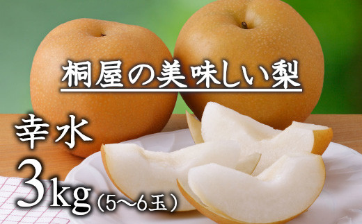 
                  梨作り50余年！桐屋（やぎさわ梨園）の美味しい梨（幸水）3kg（糖度保証）　【11246-0384】
                