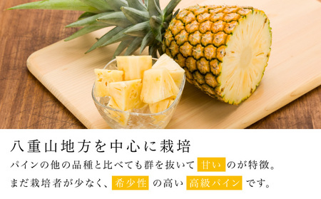 熟鮮サンドルチェ(R)2㎏（2玉）と甘さをぎゅっと詰め込んだ100％パイナップルジュース1本　パイン　果物　フルーツ