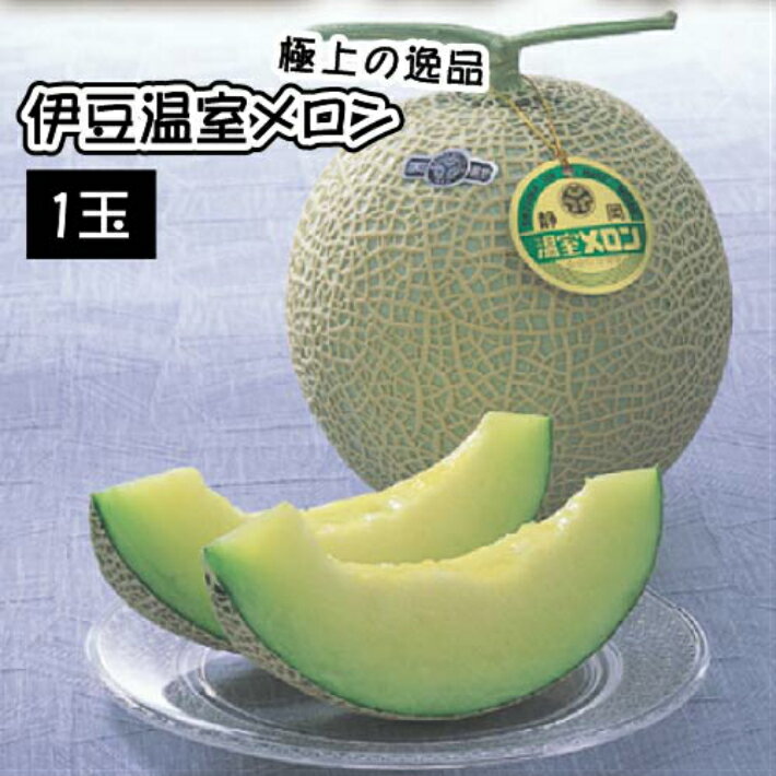 【ふるさと納税】【先行予約】〈期間限定〉極上の逸品！伊豆温室メロン（1玉） ／ マスクメロン めろん メロン 青肉 青肉メロン フルーツ 伊豆の国市 静岡 静岡県