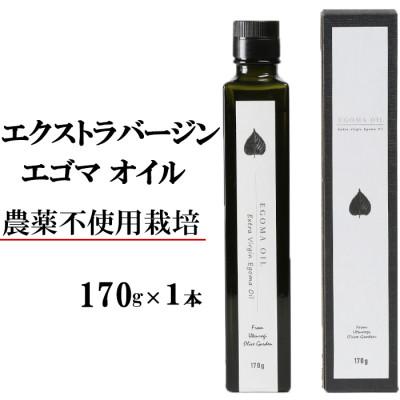 ふるさと納税 杵築市 エゴマオイル(EGOMA OIL) 170g 低温直圧搾油法 大分県産