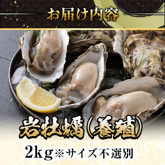 ＜平日着※指定日不可＞＜3月中旬～4月下旬発送予定＞岩牡蠣(養殖)サイズ不選別(2kg)【sm-DD001・sm-DD002・sm-DD003】【Workplays】