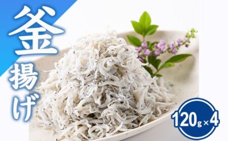 しらす 480g(120g×4) 釜揚しらす