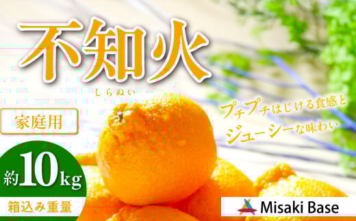 【先行受付】【家庭用】不知火（しらぬい） 10kg ※離島への配送不可 （2026年2月中旬より順次発送）  【 ふるさと納税 人気 おすすめ ランキング みかん 柑橘 ミカン 蜜柑 mikan 果物 不知火 しらぬい フルーツ 糖度 甘い でこぽん デコポン でこぽんと同品種 家庭用 おすそ分け Misaki Base 愛媛県 伊方町 送料無料 】 IKTAB004 
