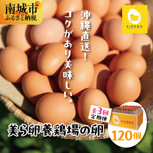 卵の黄身が掴めるほどの新鮮さ 美ら卵養鶏場の卵 120個【3ヶ月定期便】   I  たまご タマゴ  卵 美ら卵 養鶏場 美ら卵 新鮮  養鶏場  定期便   120個   沖縄県 南城市 ふるさと納税 有限会社 美ら卵養鶏場