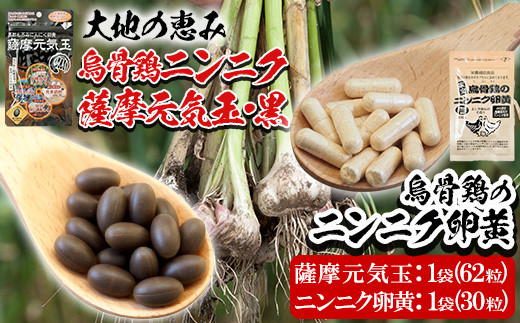 お試し！家宝 烏骨鶏のにんにく卵黄 1ヶ月分 30粒（1袋）と 黒酢もろみにんにく卵黄 1ヶ月分 62粒（1袋）＜薩摩元気玉・黒＞常温 烏骨鶏卵 有機栽培 にんにく 黒酢もろみ 発酵黒ニンニク 使用！匂いが気にならない腸溶タイプ！【A-1659H】