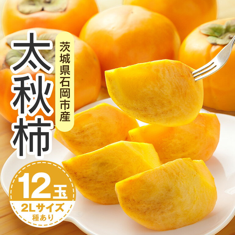 【ふるさと納税】 【 2025年 先行予約 】 太秋柿 2L 12玉（鈴木柿園） 柿 甘い柿 太秋かき 大玉 カキ 甘い 果物 フルーツ くだもの カキ 太秋かき 秋 旬 甘柿 糖度 贈答用 贈答品 ギフト 贈り物 品種 10月 11月 発送 産地直送 農家直送 産直 石岡市 送料無料 (A08-003)