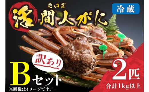 
                  （訳あり）活間人がに　2匹　Bセット　配送時期選べる 平七水産　間人がに 間人ガニ 間人蟹 たいざがに たいざガニ　HI00008_01-HI00008_05
                