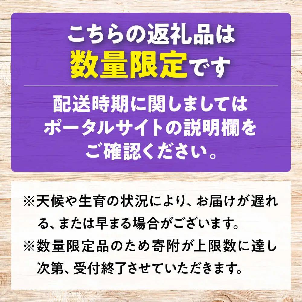 ぶどう BKシードレス 計1.8kg [APCR002] ぶどう