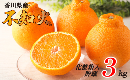 不知火 選べる 約3kg 貯蔵 化粧箱 冷蔵 先行予約 フルーツ 果物 柑橘 しらぬい みかん ふるさと納税みかん 香川県 丸亀市 ｼﾗﾇｲ ｼﾗﾇｲ ｼﾗﾇｲ 【goshiki037】