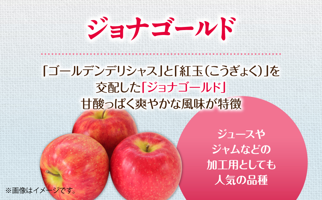 【先行予約】＜2026年10月下旬よりお届け＞北海道壮瞥町　りんご　品種名「ジョナゴールド」12～18玉約5kg SBTF019