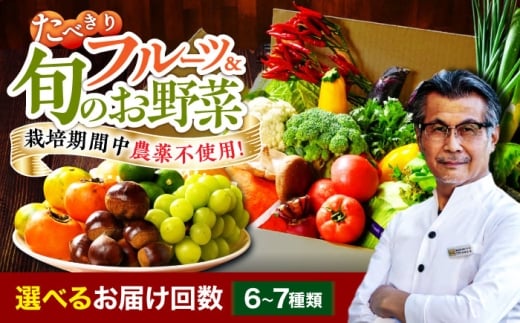 【単品】【シェフの目線】 野菜×フルーツセット 6から7種 単身 二人暮らし用 愛媛県大洲市/有限会社ヒロファミリーフーズ[AGBX047] 野菜 定期便 野菜セット やさい 野菜定期便 やさいセット 新鮮野菜 大洲市産 産地直送 おすすめ 人気 お取り寄せ 送料無料 贈答 ギフト