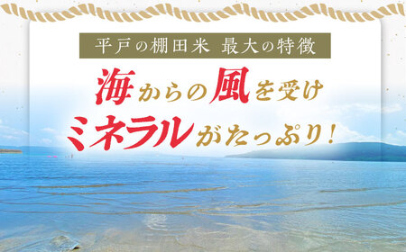 【全3回定期便】【着日指定 可能】【潮風で育った新鮮米】平戸の棚田米（無洗米）約5kg 平戸市 / ひらど新鮮市場[KAB237]