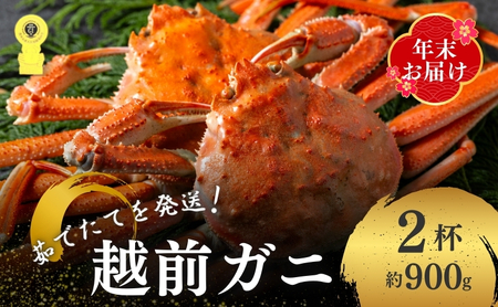 越前ガニ ボイル 姿 選べる杯数 600g~900g 茹で 年末配送