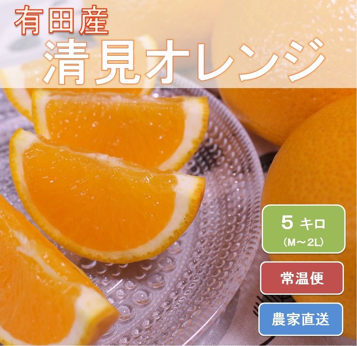 和歌山県有田産 完熟清見オレンジ 5kg（M～2Lサイズおまかせ）ひとつひとつ丁寧に厳選！生産者から直送 ※2026年3月中旬頃より順次発送予定