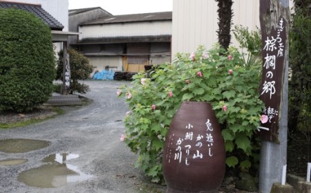 P711-02 キ乃シタ 本棕櫚箒まごころ長柄