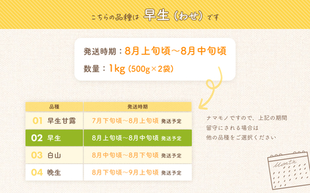【令和7年産 先行予約】だだちゃ豆(早生)　1,000g（500g×2袋）だだちゃ喜左衛門株式会社　枝豆 1kg