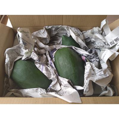 ふるさと納税 焼津市 青パパイヤ2kg(3玉以上)×1箱(a14-069) |  | 03
