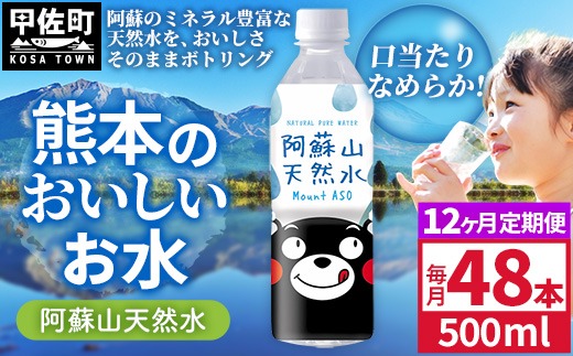 【定期便12ヶ月】熊本のおいしいお水 阿蘇山天然水 500ml×48本（2ケース）（共通返礼品・御船町） - 天然水 水 飲料水 ミネラルウォーター 箱買い まとめ買い ペットボトル 飲料 ウォーター 軟水 防災グッズ 防災 備蓄 ローリングストック ストック 熊本県【価格改定】