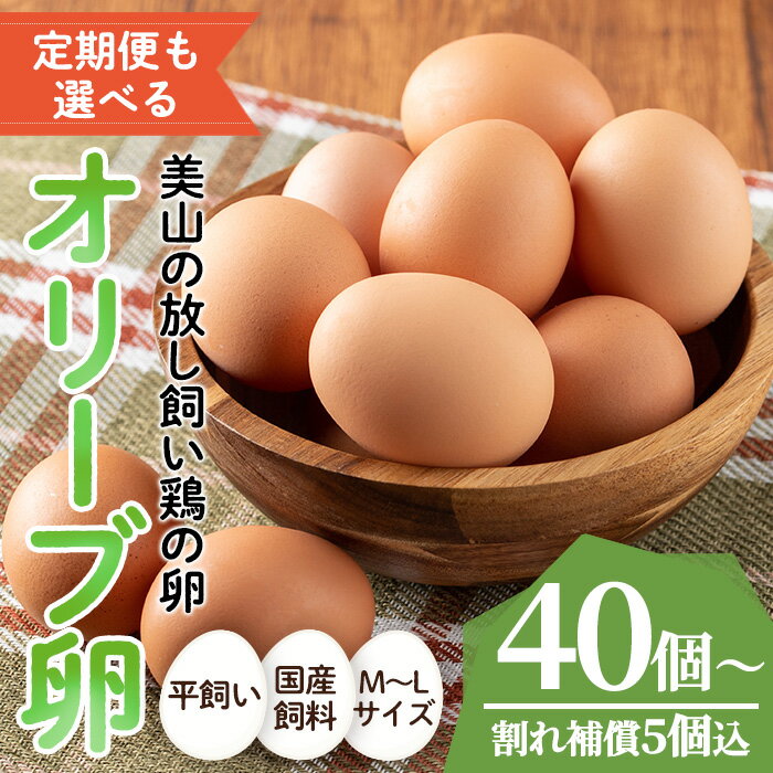 【ふるさと納税】＜定期便も選べる！＞鹿児島県産美山オリーブ卵(40個/定期便・40個×6回連続) 割れ保証付 国産 九州産 鹿児島県産 たまご タマゴ オリーブ 卵 鶏卵 生卵 おかず TKG 卵かけご飯 朝食 定期便 頒布会 数量限定【美山たまご王国】