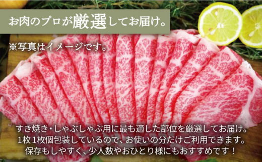 【牧場直送】【3回定期便】佐賀県産和牛 すきやき・しゃぶしゃぶ用スライス 500g（ロース・モモ・バラ）【有限会社佐賀セントラル牧場】 [IAH097]