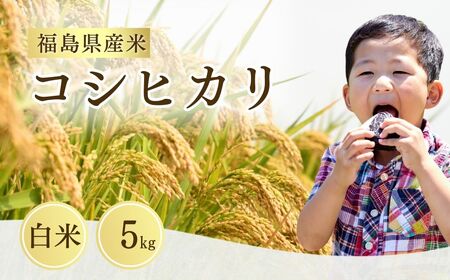 コシヒカリ 白米 5kg 令和8年産 | コシヒカリ サムランド