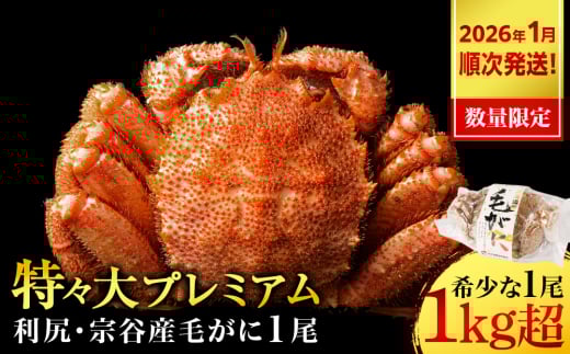 【2026年1月発送】 毛ガニ 特々（1kg以上） 1尾 ＜利尻漁業協同組合＞