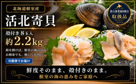 A-20015 【北海道根室産】活北寄貝(殻付き)8玉 計約2.2kg