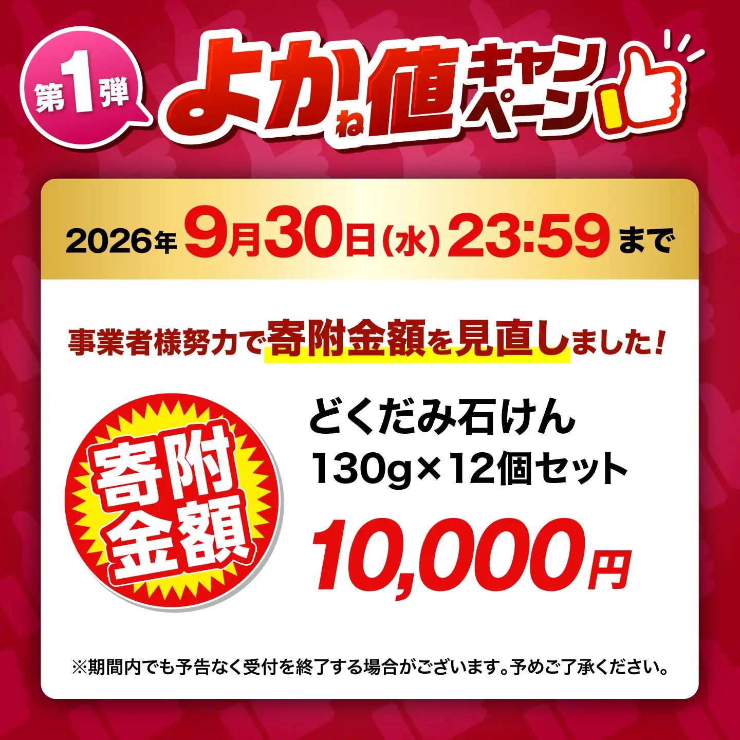 ＼生活応援よか値キャンペーン／どくだみ石けん130g×12個セット 【株式会社 地の塩社】[ZAN011-CP]