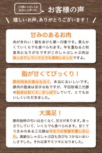 SE0309　日本の米育ち金華豚・三元豚味噌漬けギフト