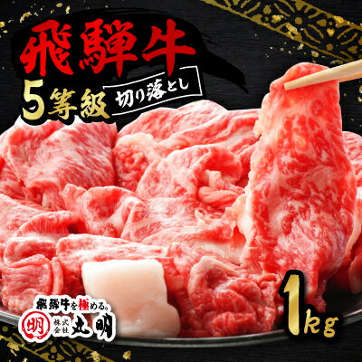 【ふるさと納税】飛騨牛5等級　切り落とし用途いろいろ　1kg【配送不可地域：離島】【1668213】
