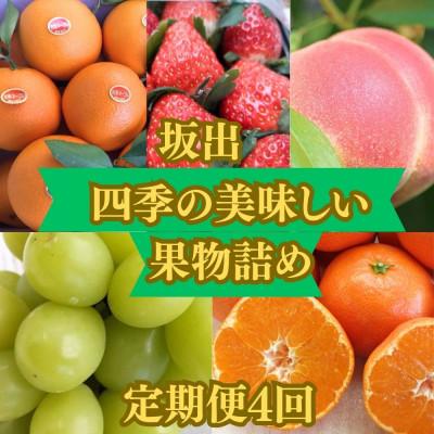 ふるさと納税 坂出市 【発送月固定定期便】四季の美味しい果物詰め　年間4回に分けてお届け!全4回