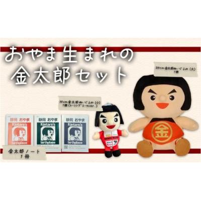 ふるさと納税 小山町 おやま生まれの金太郎セット