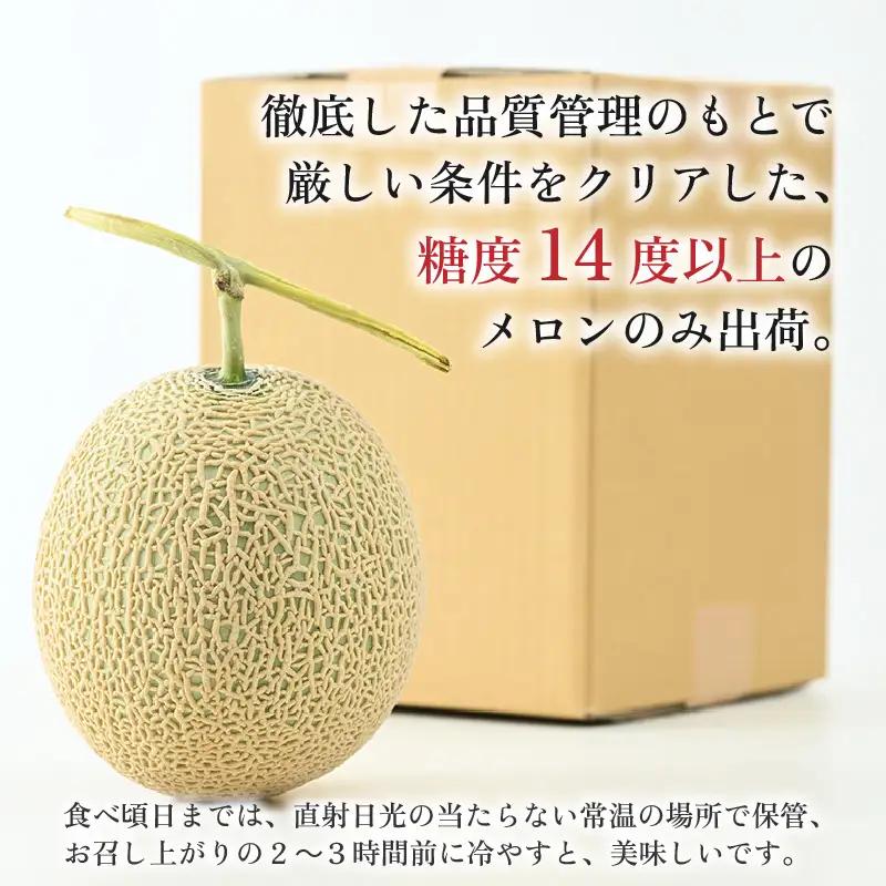 【先行予約】【赤肉】秋 アールスメロン 2玉（計約3.2kg以上）赤肉品種 高級メロン！ ／ マスクメロン 大玉 果物 フルーツ 夏 ギフト 農家直送  ※2026年9月中旬以降発送  [aw065-