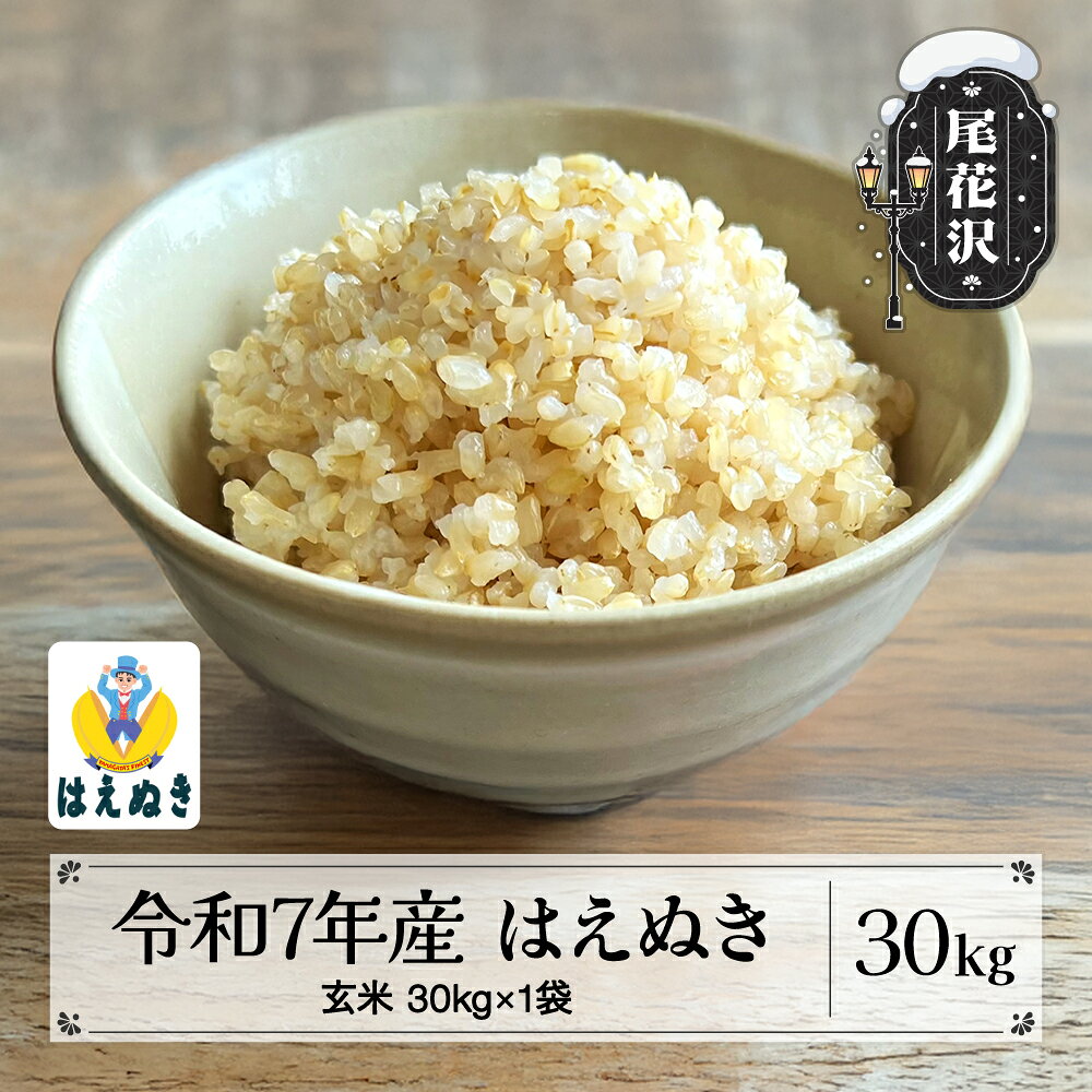 【ふるさと納税】米 玄米 30kg はえぬき 令和7年産 2025年産 選べる配送時期 尾花沢市産 送料無料 kg-hagxa30※着日指定送不可 ※沖縄・離島への配送不可