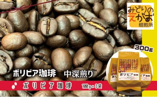 50度お湯洗い焙煎豆　ボリビア珈琲 中深煎り 珈琲 コーヒー キャンプ アウトドア ギフト 贈り物