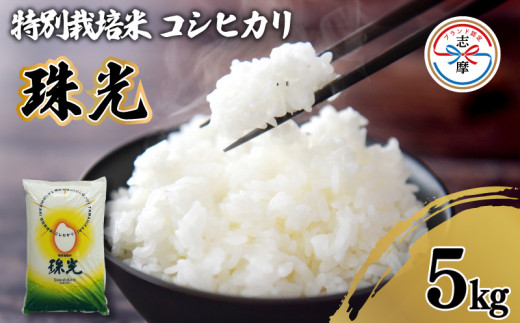 令和7年産 コシヒカリ 5kg 特別栽培米 「珠光」 ブランド米 国産 新米 米 白米 精米 コシヒカリ お米 5キロ ご飯 朝食 昼食 夕食 伊勢 志摩 三重県 10000円 以上 1万円 以上