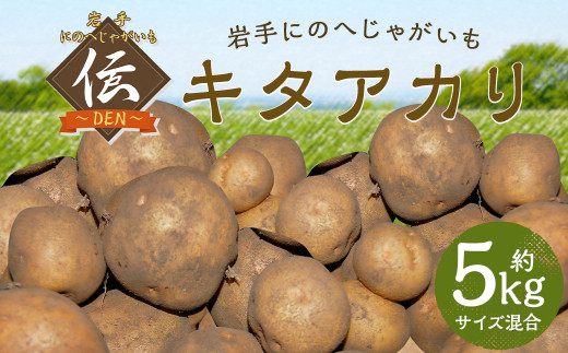 【厳選品】岩手にのへじゃがいも「伝」キタアカリ (サイズ混合) 5kg 【2025年9月中旬から2026年2月下旬発送予定】／ジャガイモ じゃがいも 芋 イモ ポテト 野菜 お取り寄せ 農家 産地直送