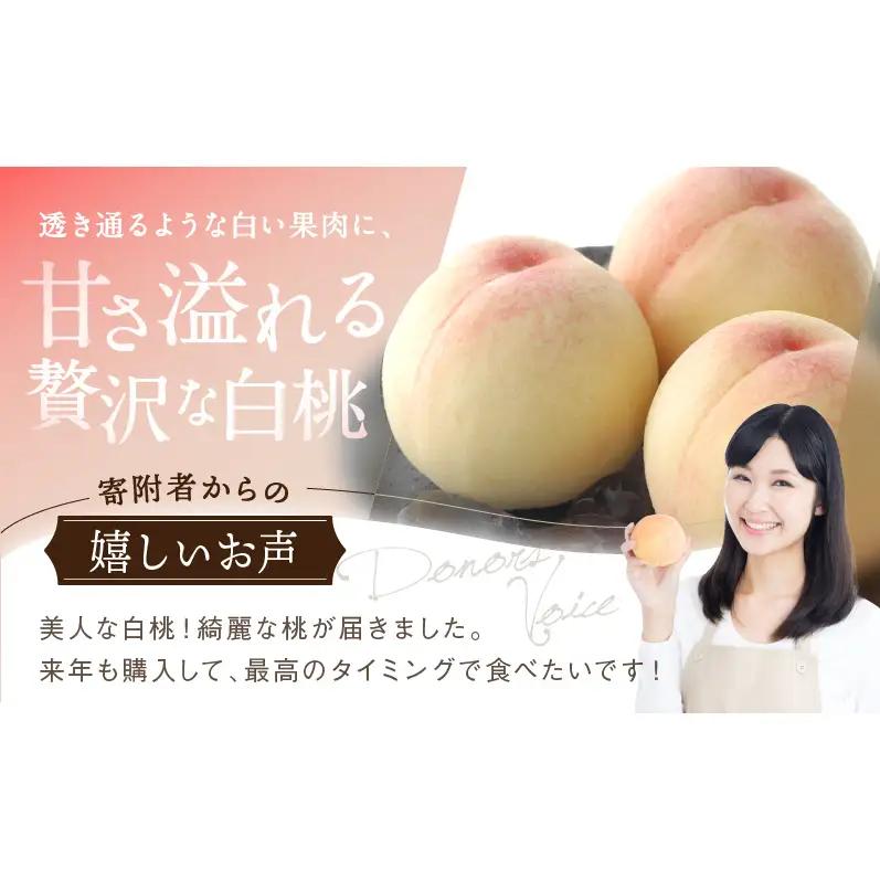 桃 2026年 先行予約 白桃 8玉 合計約2.0kg  岡山県産 桃